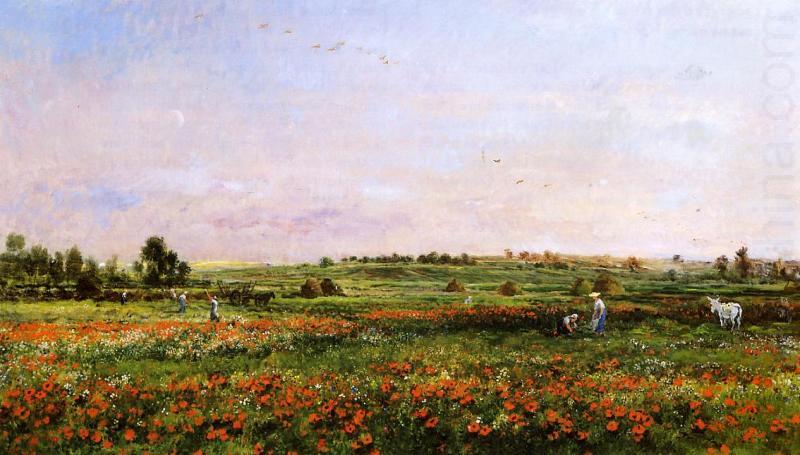 Charles-Francois Daubigny Fields in the Month of June china oil painting image